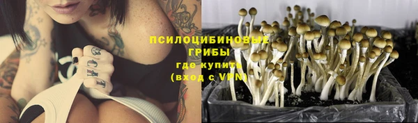 MESCALINE Медногорск