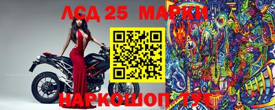 спиды Бийск