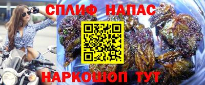 спиды Бийск