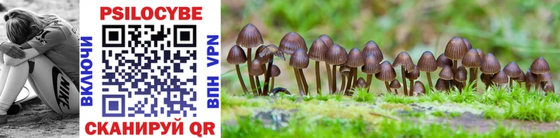 Галлюциногенные грибы Magic Shrooms Красногорск