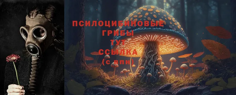 Галлюциногенные грибы Magic Shrooms  дарнет шоп  Красногорск 