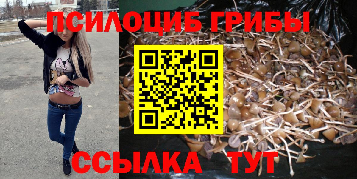 Галлюциногенные грибы MAGIC MUSHROOMS  Красногорск 